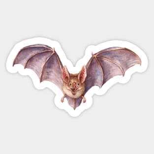 Vampire Bat Sticker